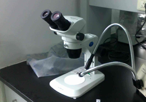显微镜照明